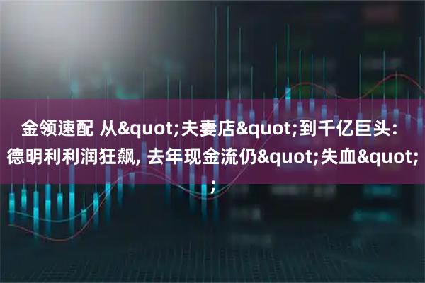 金领速配 从"夫妻店"到千亿巨头: 德明利利润狂飙, 去年现金流仍"失血"